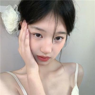 飞贼白菊花